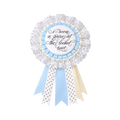 Madison Beer "I won a prize at the locket tour" decorative ribbon.